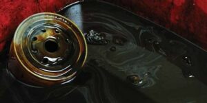 Nguyen nhan gay ra hien tuong thoai hoa dau