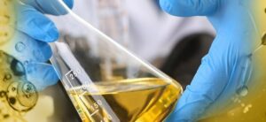 Phương Pháp Blotter Spot - Chuẩn Bị Và Thử Nghiệm Mẫu