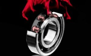 Mua mỡ bò chịu nhiệt tại Cần Thơ