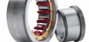 Mua mỡ bò chịu nhiệt tại Khánh Hoà