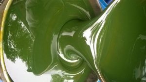 Dầu hoá dẻo cao su1