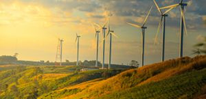 Screen Shot 2020 03 24 at 14.36