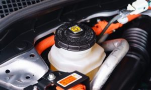 Dầu thắng và dầu trợ lực