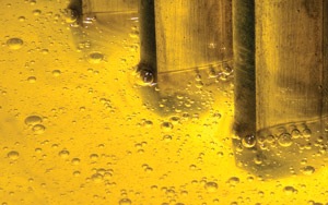 hiệu quả lọc dầu