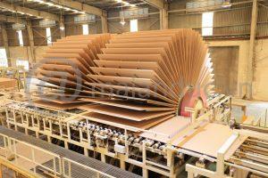 Dây chuyền sản xuất ván gỗ MDF