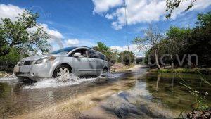 Dầu nhớt động cơ bị nhiễm nước