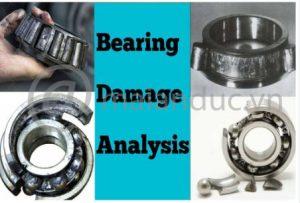 Mỡ bò chịu nhiệt8